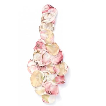 Broche ramillete rosa