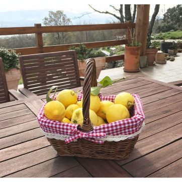 Cesto de Mimbre Cuadradao