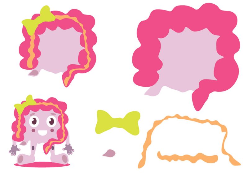 Muñecos Educativos del Cuerpo Humano - Imagen 2